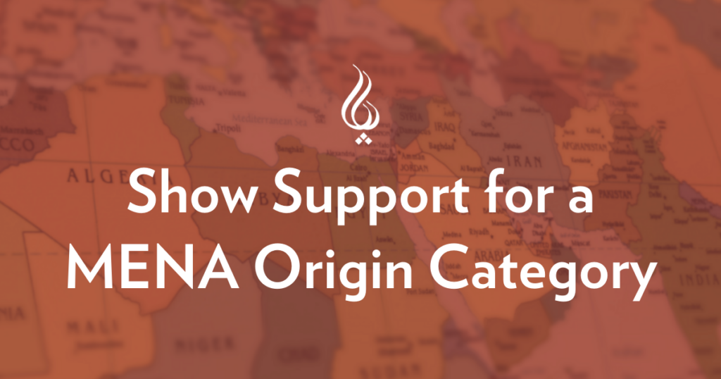 Show Support for a MENA Origin Category