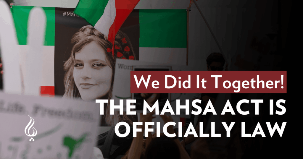 We Did It Together! The MAHSA Act is Officially Law!