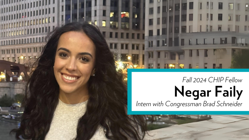 PAAIA 2024 Fall CHIP Fellow Negar Faily